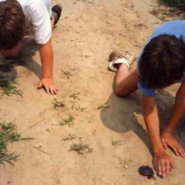 Nature and Outdoor Ed